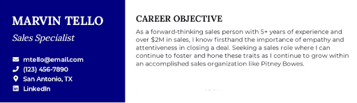 22 Sales Resume Examples